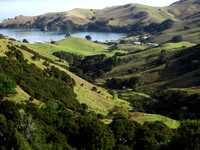 NZ: Coromandel_Peninsula